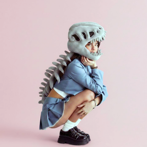 DinoShell™